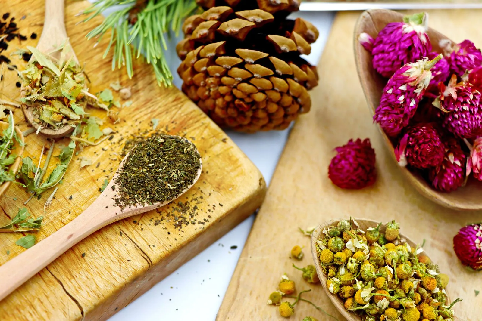 What to Expect at a Tea Tasting